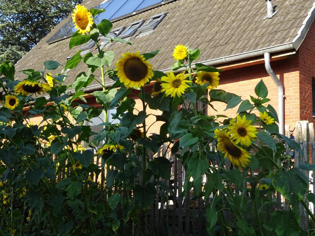 Peanuts Hostel & Meer Surendorf Kültér fotó